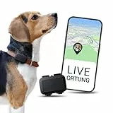 Salind GPS Tracker für Hunde 4G - Weglaufalarme + Live-Ortung in Europa- Geozaun - 100% Wasserdicht - passt an jedes Halsband - schwarz