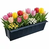 BURI 6 Euro-Paletten Blumenkästen-Einsätze inkl. Bewässerungsmatte | 37,3cm Anthrazit | Pflanzkasten für Europalette Palette | Balkonkasten | Blumentopf | aus stabilen Kunststoff | Made in Germany