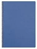 Clairefontaine 781424C Spiralbuch (DIN A4, 21 x 29,7 cm, Age Bag kariert, 50 Blatt) 1 Stück blau
