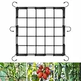 OFFCUP Scrog Netz, Wachsen Zelt Netz 40 x 40cm, Elastische Spalier Netz mit 6 Haken, Grow Netz für Pflanzen Gemüse Obst Passend Pflanzennetz für Garten Balkone Hof Gartenarbeit