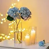 Romadedi Glaszylinder Glas Vase für Tischdeko: 3er Set Glasvase Zylinder für Flower Hochzeit Windlicht Kerzengläser für Kerzen Esstisch Wohnzimmer Deko