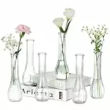 NUPTIO Kleine Glasvasen für Tischdeko Blumenvase: 6 Stück 21,7cm Hoch Schmale Klein Vase für Hochzeitsdeko - Durchsichtig Gerippte Vasen Set für Wohnzimmer Geburtstag Party Deko