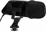RØDE Stereo VideoMic XY-Stereomikrofon zur Kameramontage für Videoaufnahmen und Content Creation