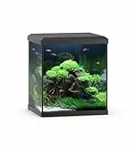 JUWEL Aquarium VIO Cube 54 schwarz, 54L Aquarium mit LED Beleuchtung und Filtersystem, 41x36x47 cm