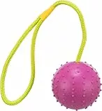 TRIXIE Ball am Seil - robustes Hundespielzeug aus Gummi zum Apportieren - ø 7/30 cm, Hundeball - 3308
