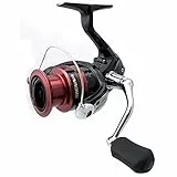 Shimano Rolle Sienna FG 2500