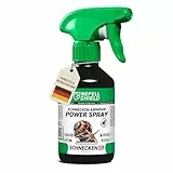 RepellShield® Natürlicher Schneckenschutz -250ml- Effektives Lavandinöl Schneckenabwehr Spray - Nicht färbend, Für drinnen & draußen - Schneckenschutz Hochbeet - Schneckenstopp