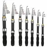 Cocoarm Mini Angelrute Fishing Ruten Teleskoprute Kleine Seerute Tragbare Kurze Stange Eisangelrute Teleskop Angelrute für Salzwasser Süßwasser(1,2 m)