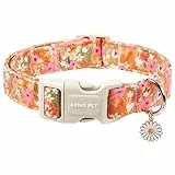 ARING PET Hundehalsband, Niedliches Blumen Halsband, Bequemes Orange Hundealsband mit Schnellverschluss aus Kunststoffschnalle für Jungen und Mädchen Hunde