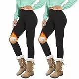DDOBB 2er Pack Thermo Leggings Damen Gefütterte Thermoleggings Im Winter Fleece Leggins High Waist Thermohose Blickdicht Warme Hose für Alltag(Schwarz*2, S)