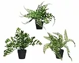 Farn im Topf 30cm x 1 Stück Sortiert Kunststoff Kunstfarn Kunstpflanzen Zimmerpflanzen Grünpflanzen