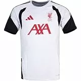 adidas FC Liverpool LFC Training Trikot Jersey (DE/NL/SE/PL, Alphanumerisch, M, Regular, Regular, Grey)