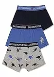 SALT AND PEPPER Jungen Boxershorts 3er Set mit Dino Motiv