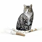 CanadianCat Company | 3er Pack | Spielrolle mit Lederstreifen | 5g Katzenminze Spielzeug für Katzen