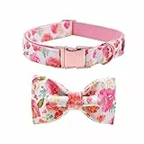 MYSUNBAR Elegant Little Tail Hundehalsband, Baumwolle und Gurtband, Weihnachten Hundehalsband, Mädchen oder Junge verstellbare Hundehalsbänder Haustier Geschenk für kleine