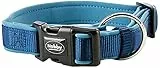 Nobby Halsband Classic Preno, blau/blau L: 30-45 cm, B: 20/25 mm, 1 Stück