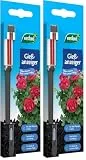 Westland Gießanzeiger klein, 16 cm, anthrazit – Pflanzen Gießmelder, Wasserbedarf-Anzeige für Pflanzen in Blumenerde (Packung mit 2)