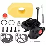 FanPaYY Vergaser-Kit für Rasenmäher für Briggs and Stratton, mit Luftfilter, Schrauben, Reglerfeder, Membrane, Kraftstoffpumpe, Zündkerze # 499809 498809A 494406