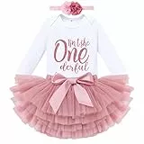 Odizli 1 Geburtstag Mädchen Outfit Body+Bunt Tütü Prinzessin Tüllrock+Geburtstagskrone 3tlg Bekleidungssets Erster Geburtstag Party Babykleidung Baby Fotoshooting Bohnenrosa One Derful Langarm 1 Jahr