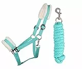 ARBO-INOX® Halfter-Set verstellbar für Pferde – mit weichem Kunstfell und Führstrick – Größe Shetty, Türkis