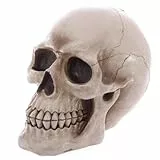 Puckator Lebensgroße Realistische Totenkopf Spardose