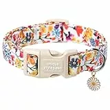 Unique Style Paws Baumwolle Halsband Schnellverschluss - buntes Blumen-Design für Kleine, Mittelgroße und Große Rüden und Hündinnen - langlebig und niedlich