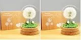 Yobeyo Wunscherfüller Pusteblume im Glas - Besondere Geschenkidee, Geburtstagsgeschenk für Frauen, Glücksbringer und Kleinigkeit für Freundin, Deko Geschenke im Glas, Blumen Geschenk (Packung mit 2)