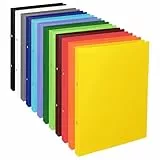 Conipa® 12er Set Ringordner & Ringbuch A4-Format (schmal) mit 2-Ringe-Meachanik - 12 Farben Ringmappe & Ordner Hefter für Dokumente, Unterlagen & Trennregister (aus PP) - Ringhefter für Schule & Büro