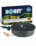 HOBBY Aquaristik Artemia Aufzuchtschale I Mit Sieb, Trennschale und Dosierlöffel I Einfache und flexible Nutzung I Kein Belüfter nötig I Ideal für Anfänger und Profis