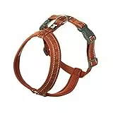 Hurtta Casual Y-Geschirr ECO Komfortables nachhaltiges Hundegeschirr (Cinnamon, 45-55 cm)