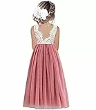 Beganly Mädchen Lange Festtagskleider Lieblich ärmellos V-Rücken Kleid Spitze Maxi Tüll A-Linie Prinzessin Partykleid Blumenmädchen Kleider Staubige Rose 3 Jahre (Dusty Pink 100)