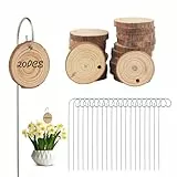 Funtery 20 Stück Pflanzenschilder Zum Beschriften, Pflanzenetiketten mit Haken, Wetterfest Rostbeständige Gartenschilder Pflanzenanhänger, Beschriftungsschilder für Gartenpflanzen, Gemüse und Blumen