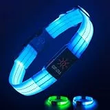 Leuchthalsband Hund, Hundehalsband Leuchtend Aufladbar mit Batteriekontrollleuchte, Wasserdichtes LED Hundegeschirr Leuchtend, Einstellbare Größe 3 Blinkende Lichter