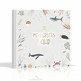 BIROYAL Babyalbum Mein erstes Jahr - Fotoalbum Baby zum Eintragen - Das Babytagebuch & Erinnerungsbuch für Mädchen und Jungen - Baby Buch - Baby Geschenk zur Geburt, 21x21 cm