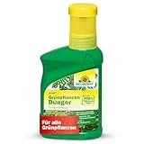 Neudorff Azet Grünpflanzendünger – 100% natürlicher Bio Dünger für schnelles Wachstum und tiefgrüne Blätter aller Grünpflanzen und Palmen, 250 ml