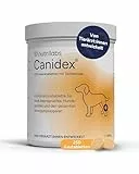 NutriLabs Canidex Gelenktabletten für Hunde 250 Stk. - mit MSM, Hyaluronsäure, Glucosamin, uvm. - Gesundheitsprodukte für Hunde - Nahrungsergänzungsmittel Hund - Teufelskralle-Hund