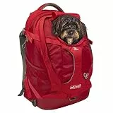 Kurgo G-Train Hundetransportrucksack - Bequemer Reiserucksack für kleine Hunde bis zu 11 kg - Robustes Design - Laptopfach - Armorsole-Boden - Wasserabweisend - Chili Rot