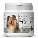 ReaVET Zink Tabletten für Hunde 120 Stück – Hochdosiert mit Vitamin C & E, Zinktabletten Plus Vitamine bei trockener Haut, Haarausfall, Zink Hund für Krallen & Fell