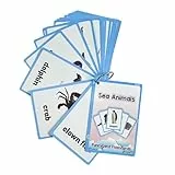 20 Blatt Vokabelkarteikarten Mit Meerestieren 11 Cm X 8 Cm Wortkarte Zum Frühen Lernen Für Kinder Für Kindergarten Vorschule Homeschool Wasserfestes Papier Lernkarten