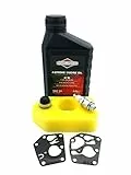 Briggs and Stratton Rasenmäher Service Kit passend für den Classic und Sprint