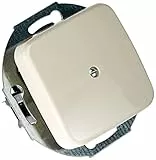 Busch-Jaeger 2527-212 Zentralscheibe mit Tragring Blindabdeckung (Duroplast) Cremeweiß Busch-Duro 2000 SI 2CKA001710A0623
