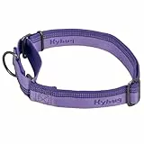 Hyhug Design, Martingale Nylon Klassische Halsbänder ,Anti-Flucht Hundehalsband. 3M Reflektierender Streifen, Komfortabel Verstellbar, Sicherer Nachtspaziergang, Hunde-ID-Tag-Montageloch