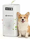 DAYETTE Tragbarer Luftreiniger für Allergiker, ideal für Schlafzimmer und Auto, mit Duftschwamm und HEPA 13 Filter gegen 99,97% von Staub, Pollen, Tierhaaren & Gerüchen, 15dB Ultra-Leise