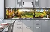 Dimex Küchenrückwand Verbundplatte Wiese 240 x 60 cm | Spritzschutz Küche für Herd & Spüle | Premium Qualität Acrylglas, Stärke 5 mm - Made in EU