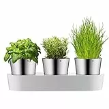 WMF Gourmet Kräutertopf mit Bewässerungssystem 3-teilig, Kräutergarten für die Küche, 36x 12,5X 12,5 cm, für frische Küchenkräuter, Blumentopf weiß