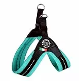 Tre Ponti Geschirr Easy Fit Soft Mesh mit Click Verschluss in div. Farben und Größen, Größe:Gr 2. / 32-37cm / bis 5kg, Farbe:Minze