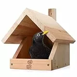 wildtier herz I Amsel Nistkasten aus verschraubtem Massiv-Holz - 25 x 28.5 x 27 cm, Wetterfest & Unbehandelt, Vogelhaus für Halbhöhlenbrüter, Halbhöhle für Amseln, Rotkehlchen & Co.