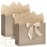 BBLIKE Geschenktüten mit Henkel - 2 Geschenktasche 2 Grußkarten 4 Sydney Paper, Papiertüten mit Henkel, Geschenkverpackung für Geschenk, Geburtstag, Feier, Hochzeit (Champagnerfarbe)