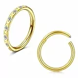 Briana Williams 2stk Piercing Helix Ring Chirurgenstahl 1.2mm Nasenpiercing Ring Dünn Nasenring 8mm Septum Clicker Segmentring Ohrring