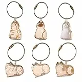 Frundoo Schlüsselanhänger mit Katzenhaar Aufbewahrungsflasche, 6 Pcs Katzenhaar-Schlüsselanhänger, Cat Hair Memorial Capsules Schlüsselbund, Transparente Katzenhaarspeicherbox, Tierhaar Anhänger